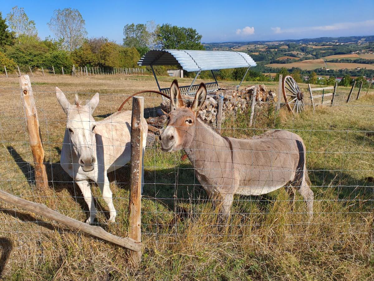 Figuets 3 Lägenhet Chateauneuf-de-Galaure Exteriör bild